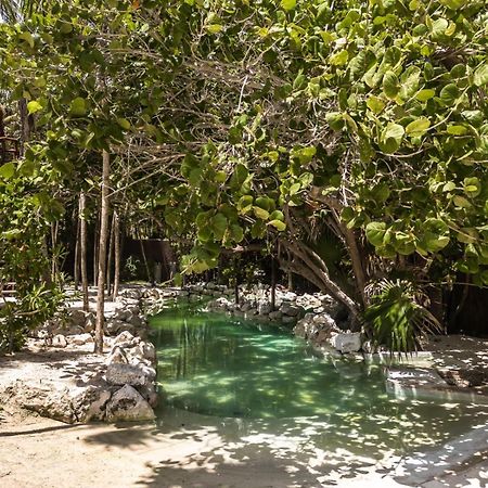 Niken Beachfront Tulum Hotel Екстериор снимка